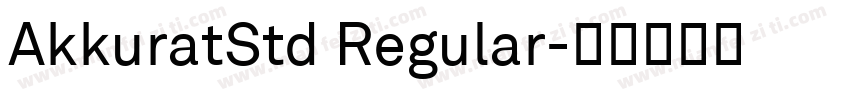 AkkuratStd Regular字体转换